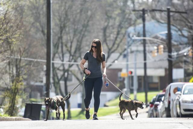 Clinical trials offer hope for multiple sclerosis treatment breakthrough - TribLIVE.com