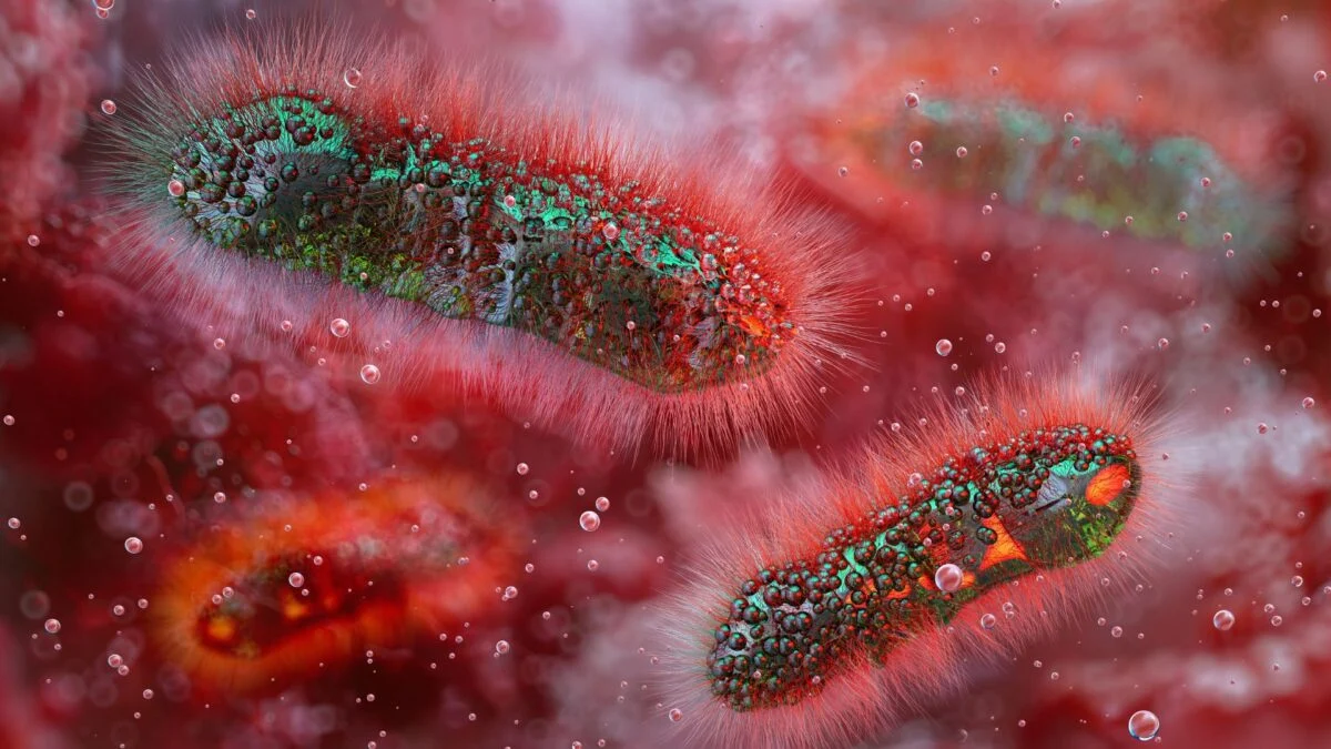 A Diarrhea-Causing Superbug Is on the Rise, Health Officials Warn - Gizmodo