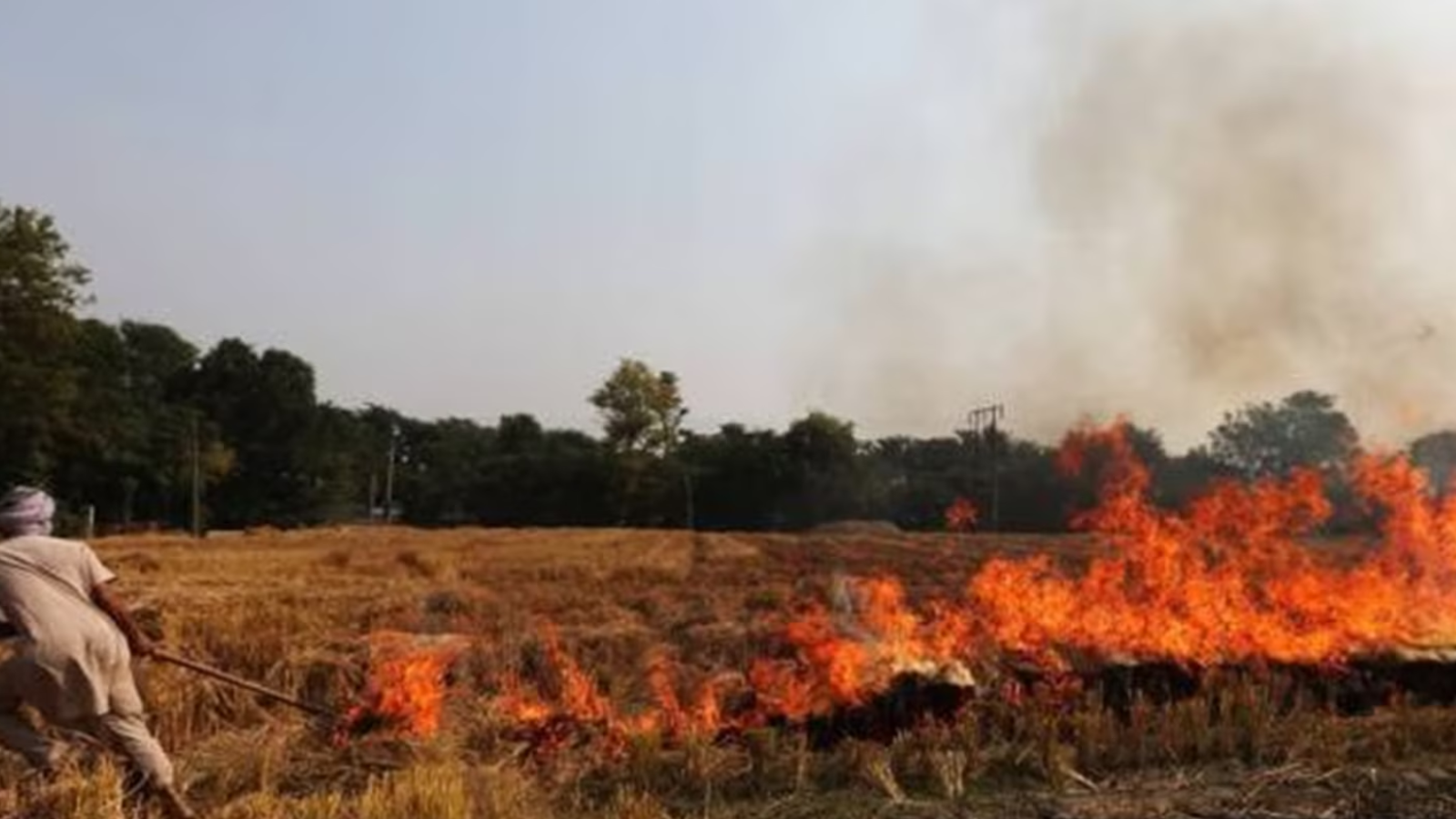 Parali solution may lie closer to the farm