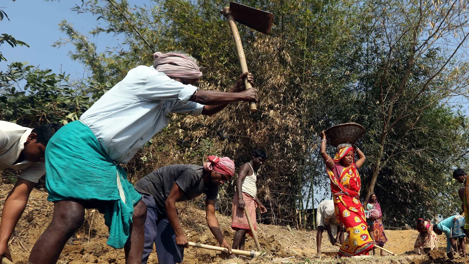 Staff strike slows rollout of VB-G RAM G in Punjab as transition enters crucial phase