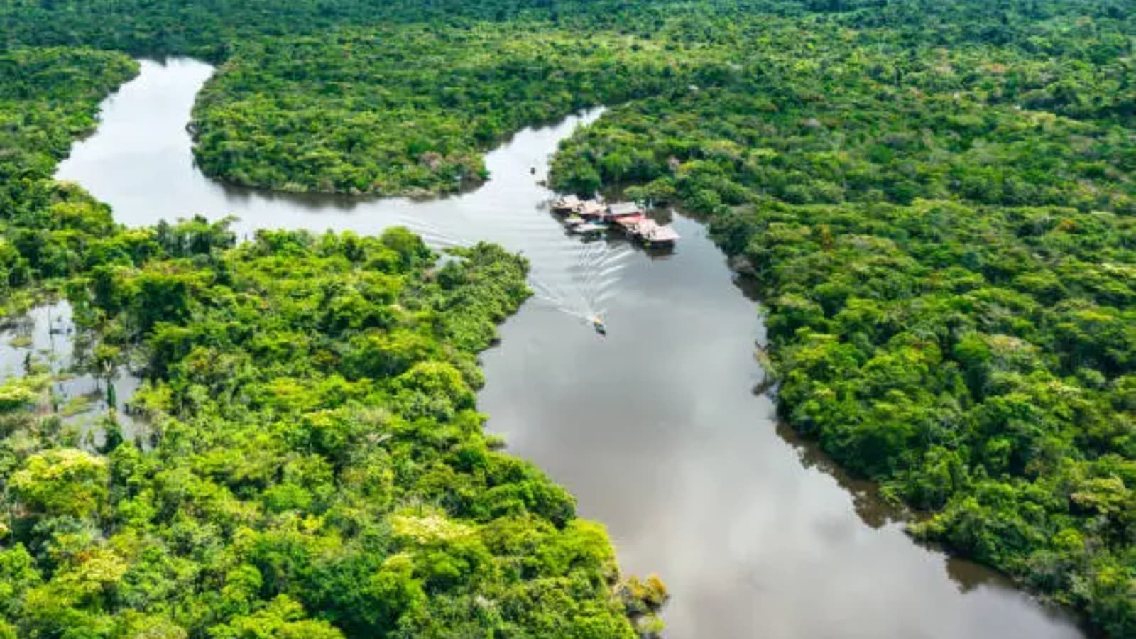 llegal miners extract billions in Amazon gold despite Brazil crackdown, Greenpeace finds