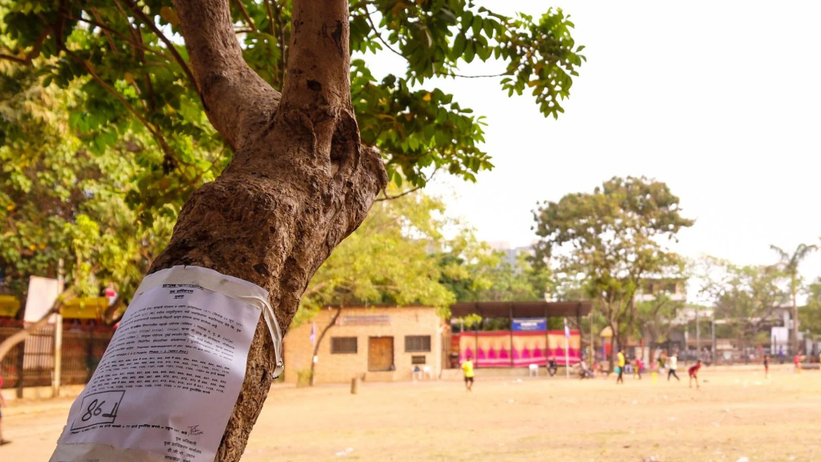 220 trees, 2 grounds to make way for redevelopment project in this Mumbai suburb