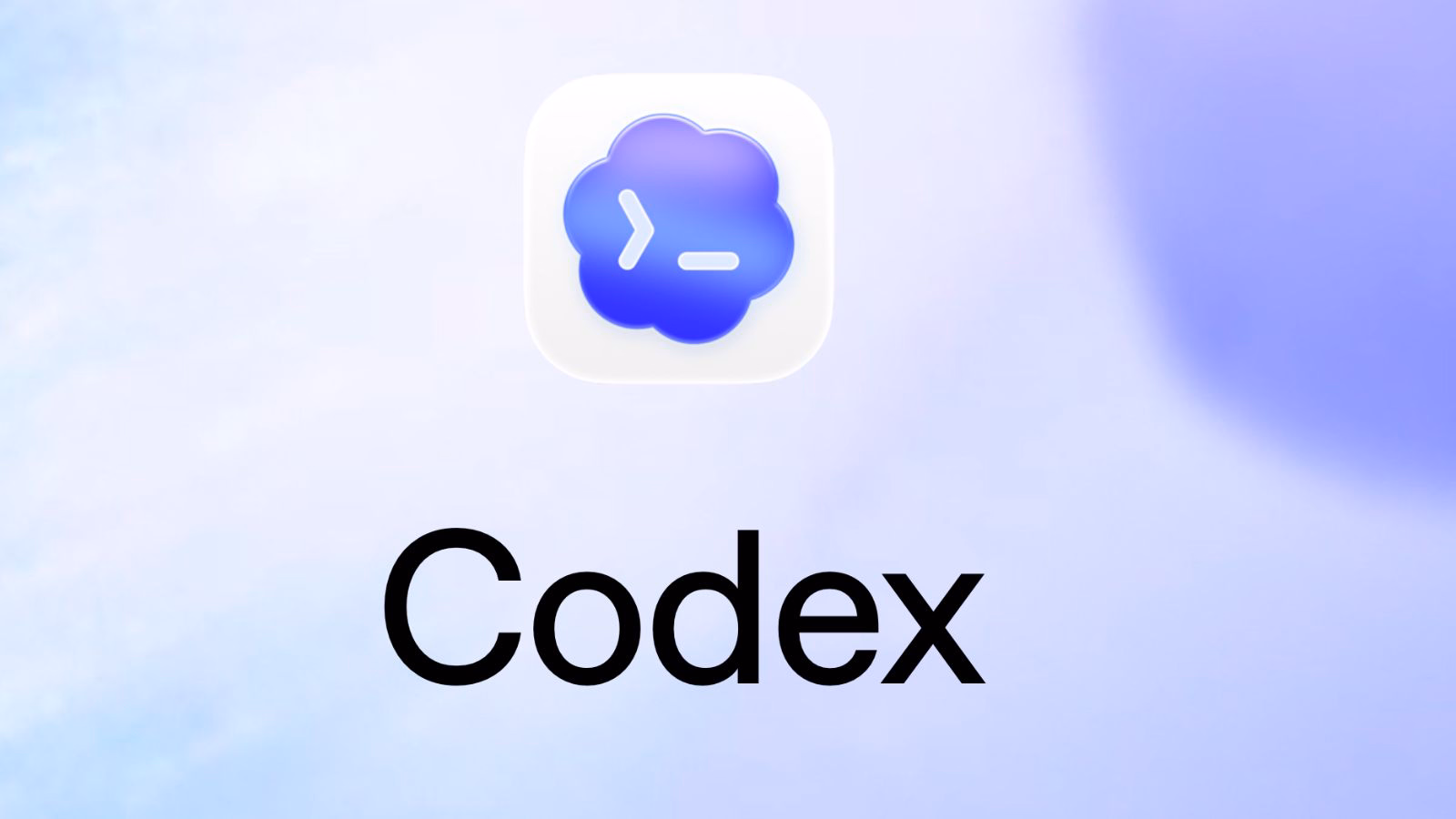 India emerges as a key Codex market with 27x user growth: OpenAI