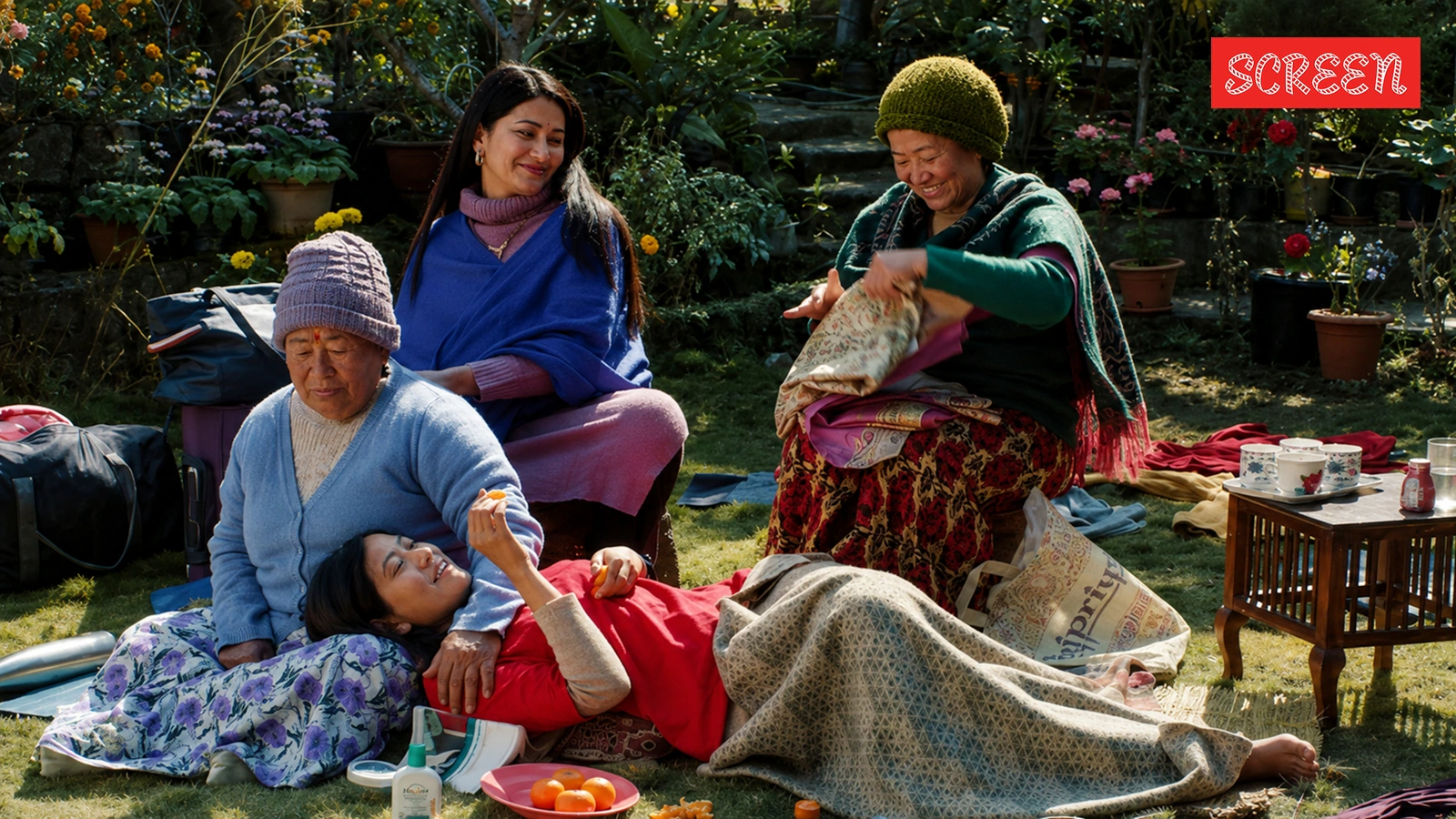 Shape of Momo movie review: A deeply felt tale of dreams and desires
