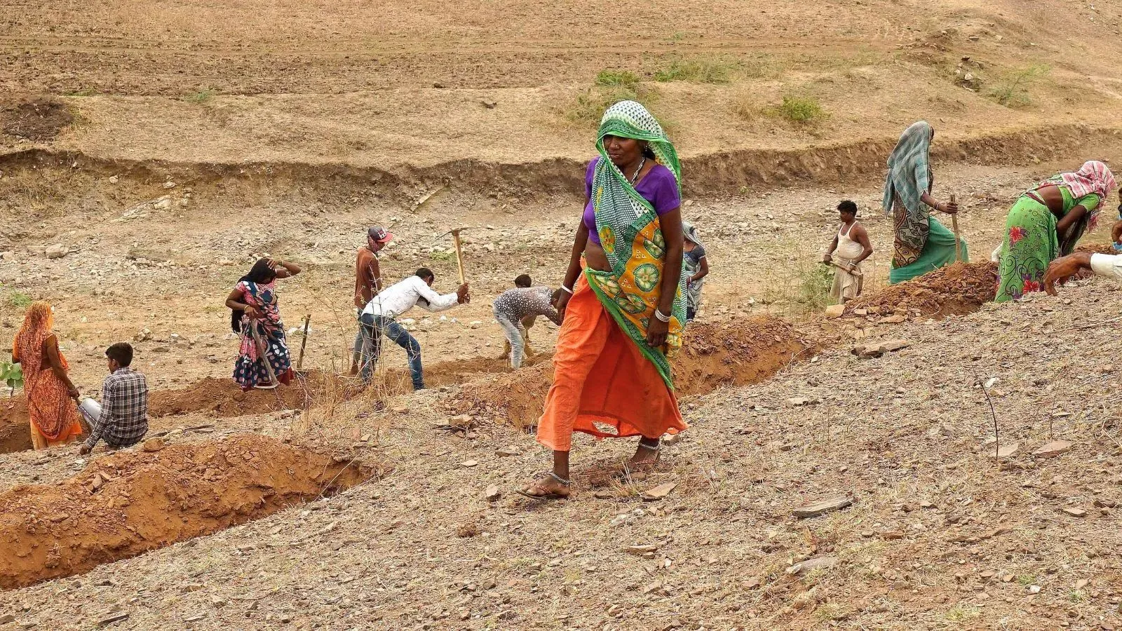 Join new scheme today or face the axe: Punjab to 2,000 rural employment staff
