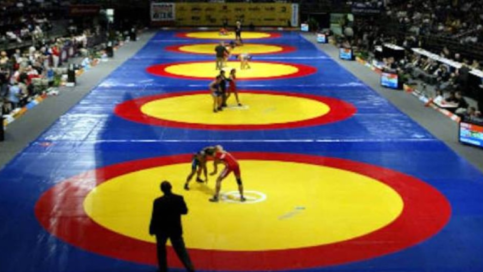Korean wrestling president announces pork gift hampers for Asian Games medallists