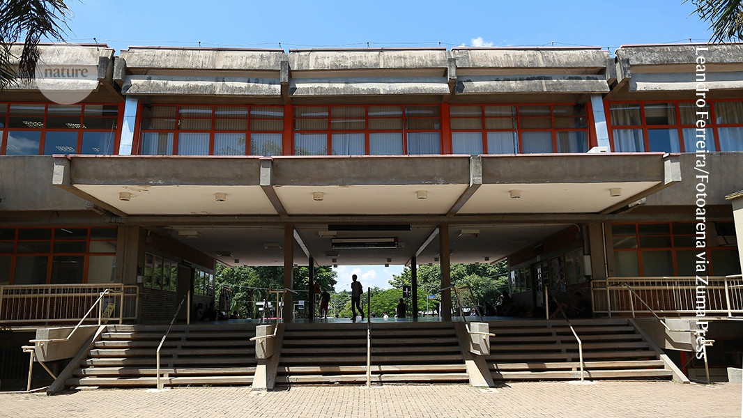 Viruses allegedly stolen from high-security lab cause stir in Brazil - Nature