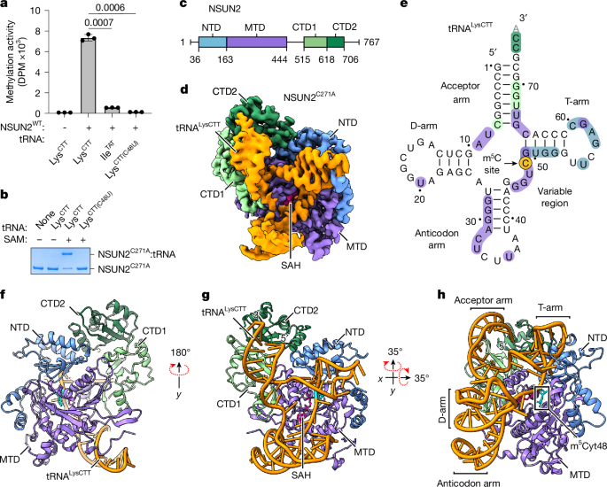 Substrate selectivity of the human RNA m5C methyltransferase NSUN2 - Nature