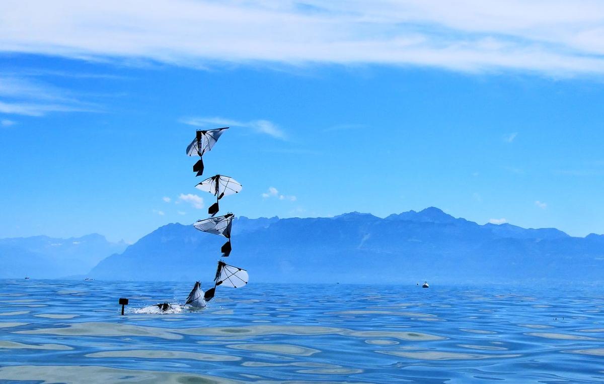 MIT Scientists Create Robot That Can Fly and Swim - newsforkids.net