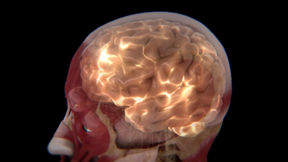 Scientists Identify 2 Distinct Subtypes of Autism in The Brain - ScienceAlert