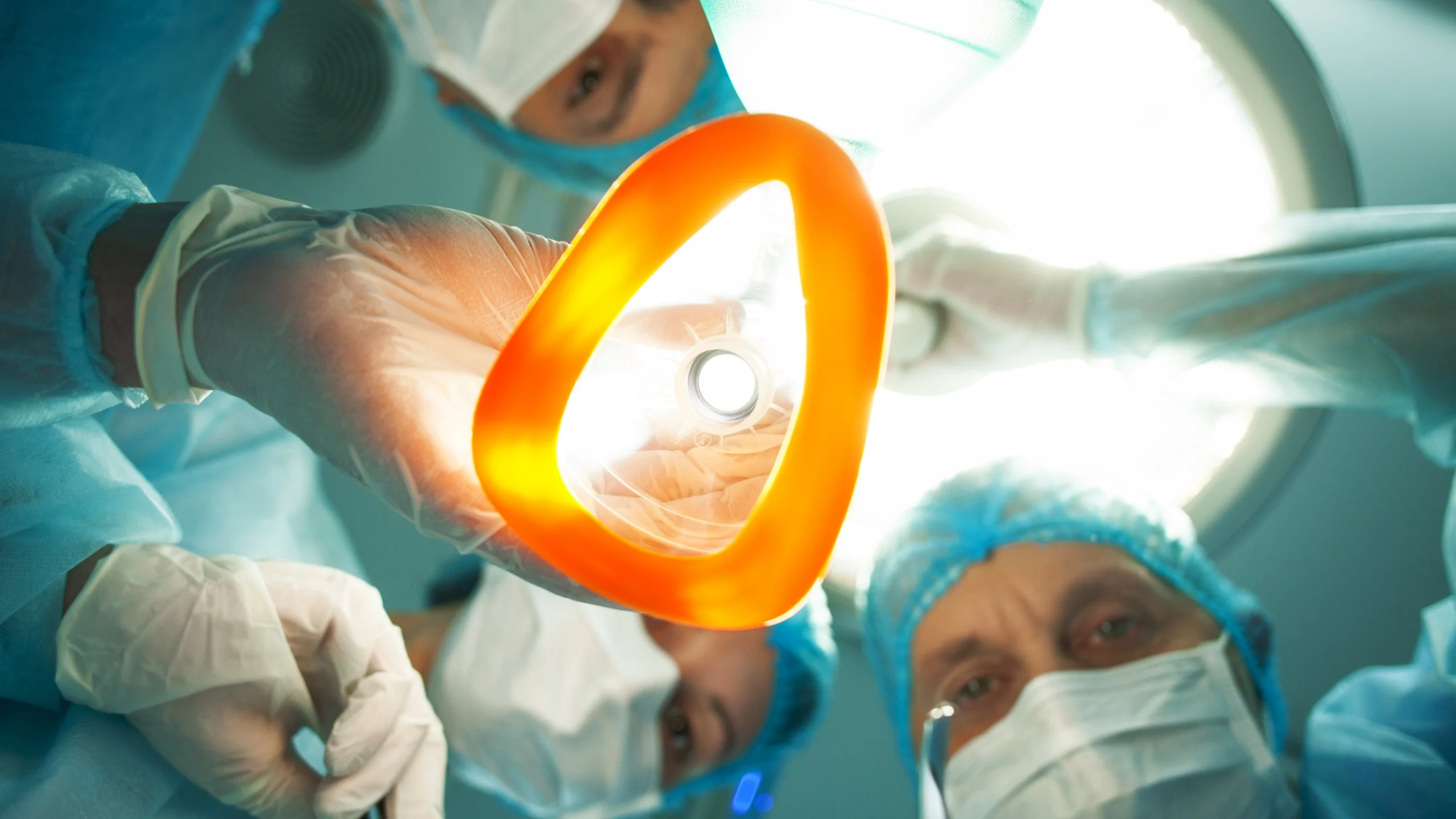 Your Brain Under Anesthesia Behaves Surprisingly Like a Worm's, Scientists Discover - ScienceAlert